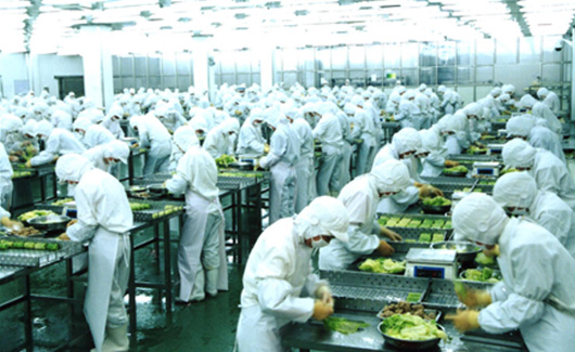 求索企業可持續 走進龍大，探訪生態農業產業鏈中的農產品生產