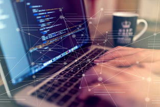 自助建站五步走，輕松掌握技術(shù)開(kāi)發(fā)核心